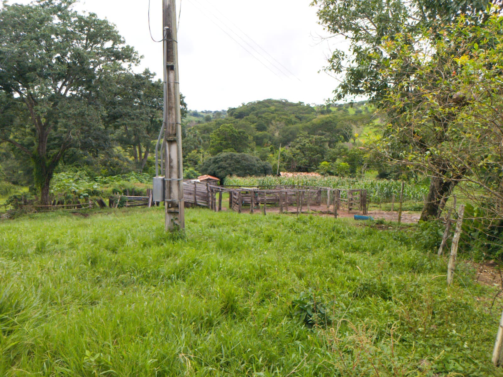 Fazenda de 25 Hectares com Escritura em Bonfinópolis - Ideal para Pecuária