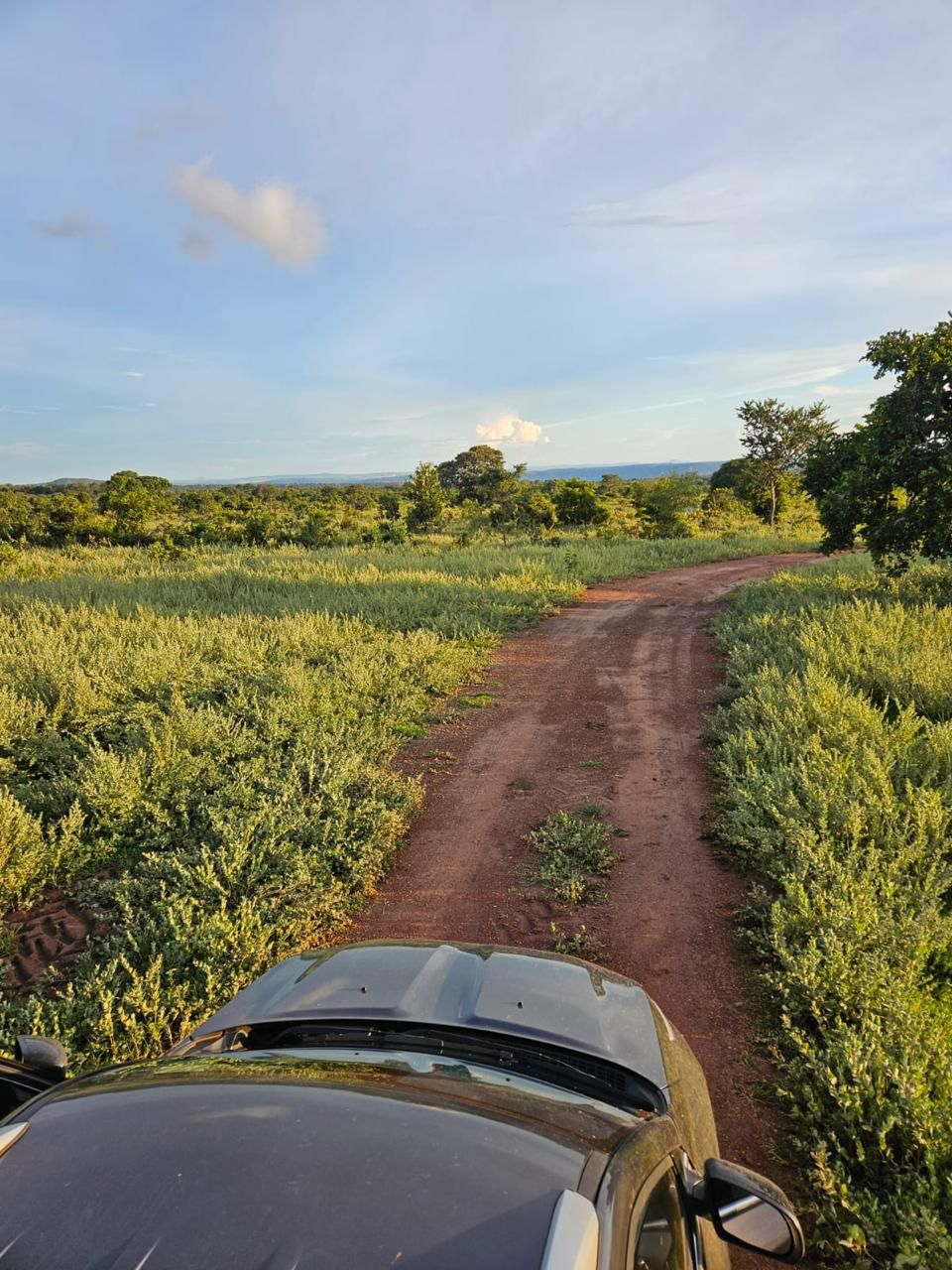 Fazenda à Venda em Baliza, GO / 5033 hectares / Área Agriculturável / 3000 hectares / Área em Pastagens /4000 hectares /Rio de Grande Porte