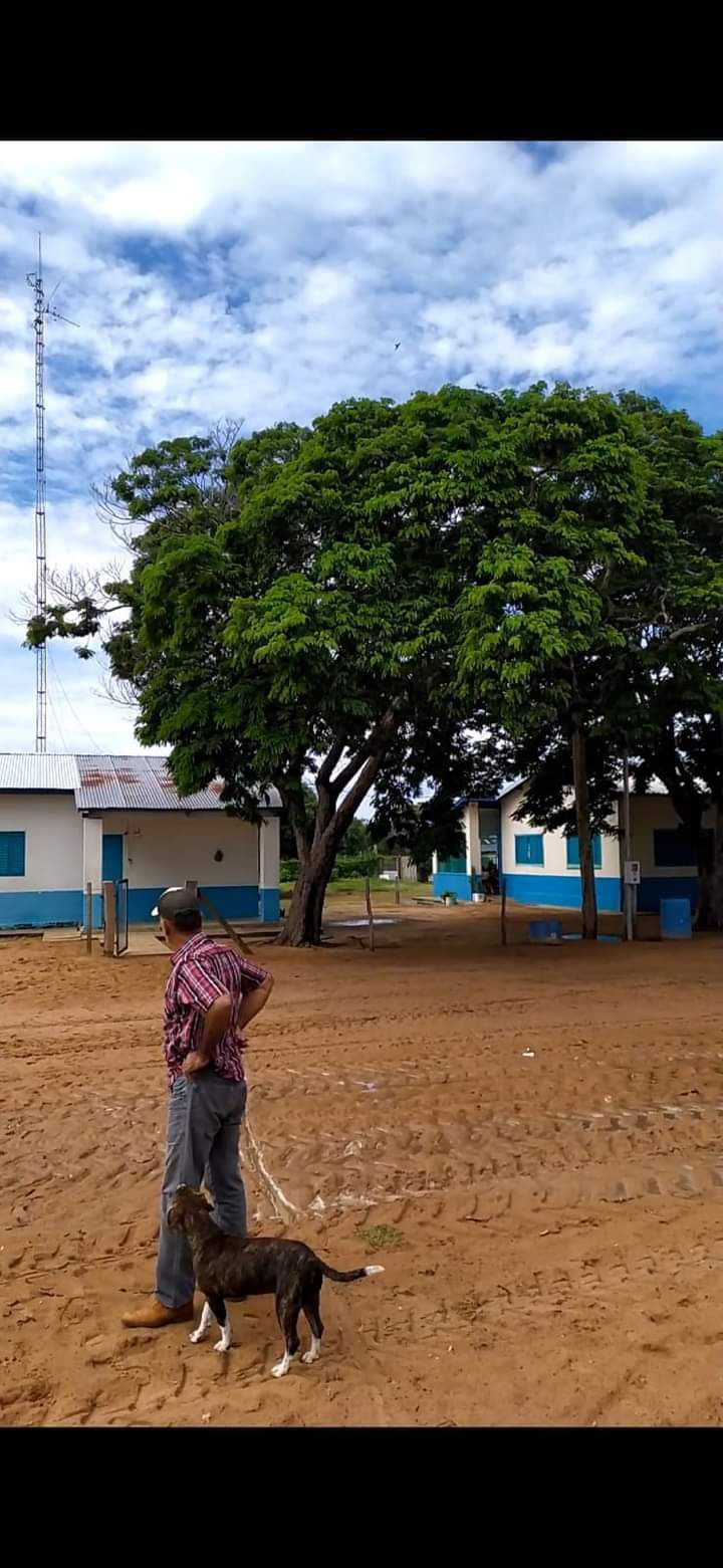 Fazenda em Ribeirão Cascalheira / MT / 11900 hectares total / Benfeitorias completas / Pista de Pouso / Rio próximo / Formada em Pastagens