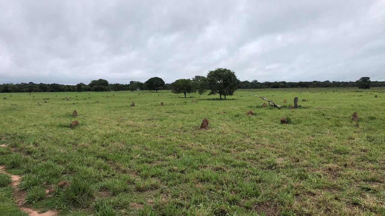 Fazenda em Ribeirão Cascalheira / MT / 11900 hectares total / Benfeitorias completas / Pista de Pouso / Rio próximo / Formada em Pastagens