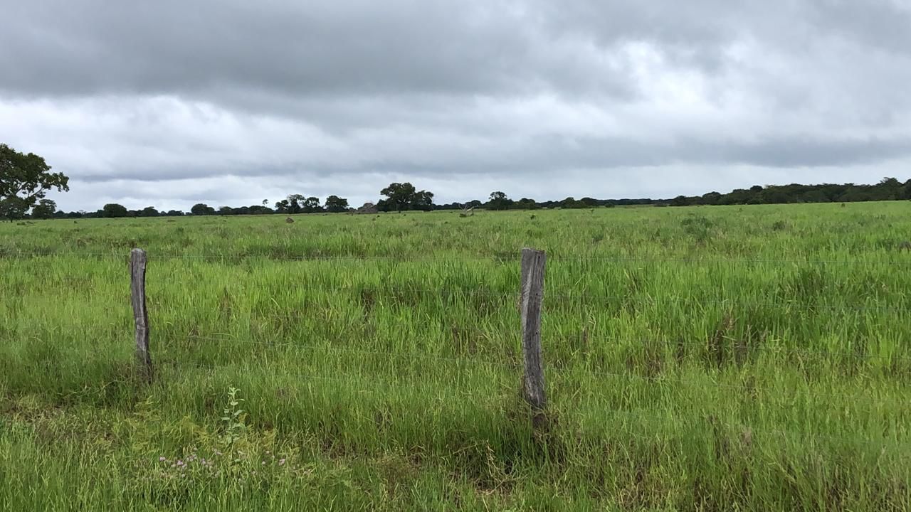 Fazenda em Ribeirão Cascalheira / MT / 11900 hectares total / Benfeitorias completas / Pista de Pouso / Rio próximo / Formada em Pastagens
