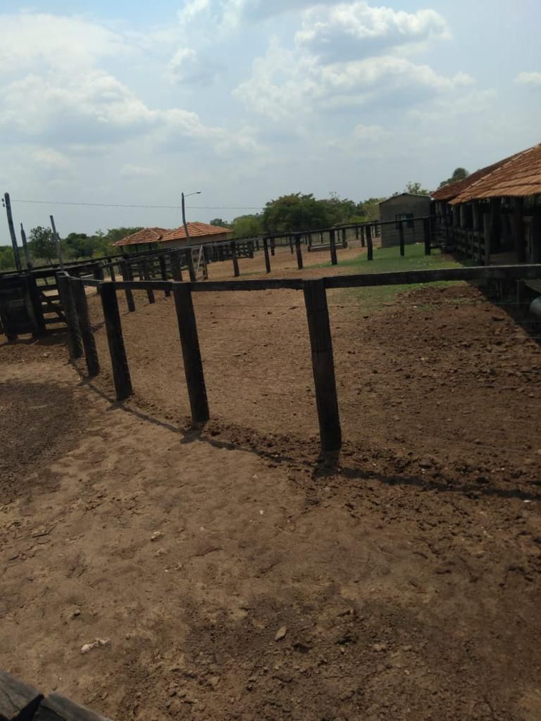 Fazenda em Ribeirão Cascalheira / MT / 11900 hectares total / Benfeitorias completas / Pista de Pouso / Rio próximo / Formada em Pastagens
