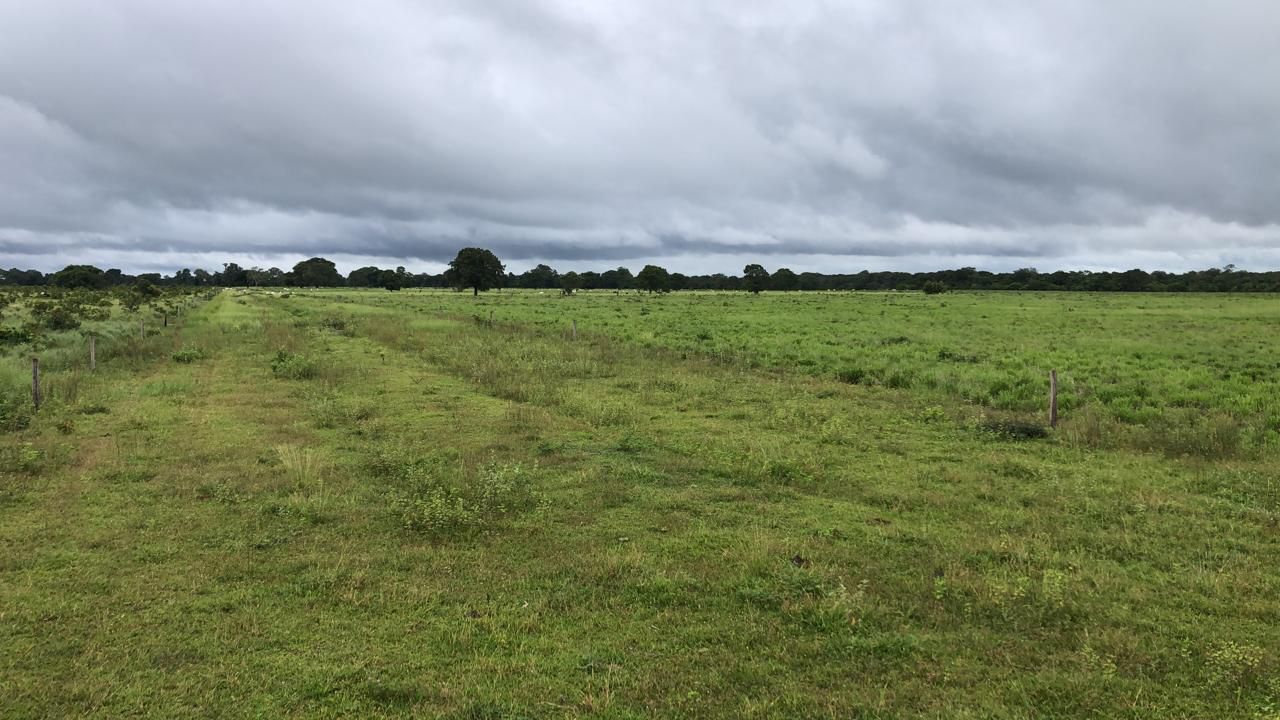 Fazenda em Ribeirão Cascalheira / MT / 11900 hectares total / Benfeitorias completas / Pista de Pouso / Rio próximo / Formada em Pastagens
