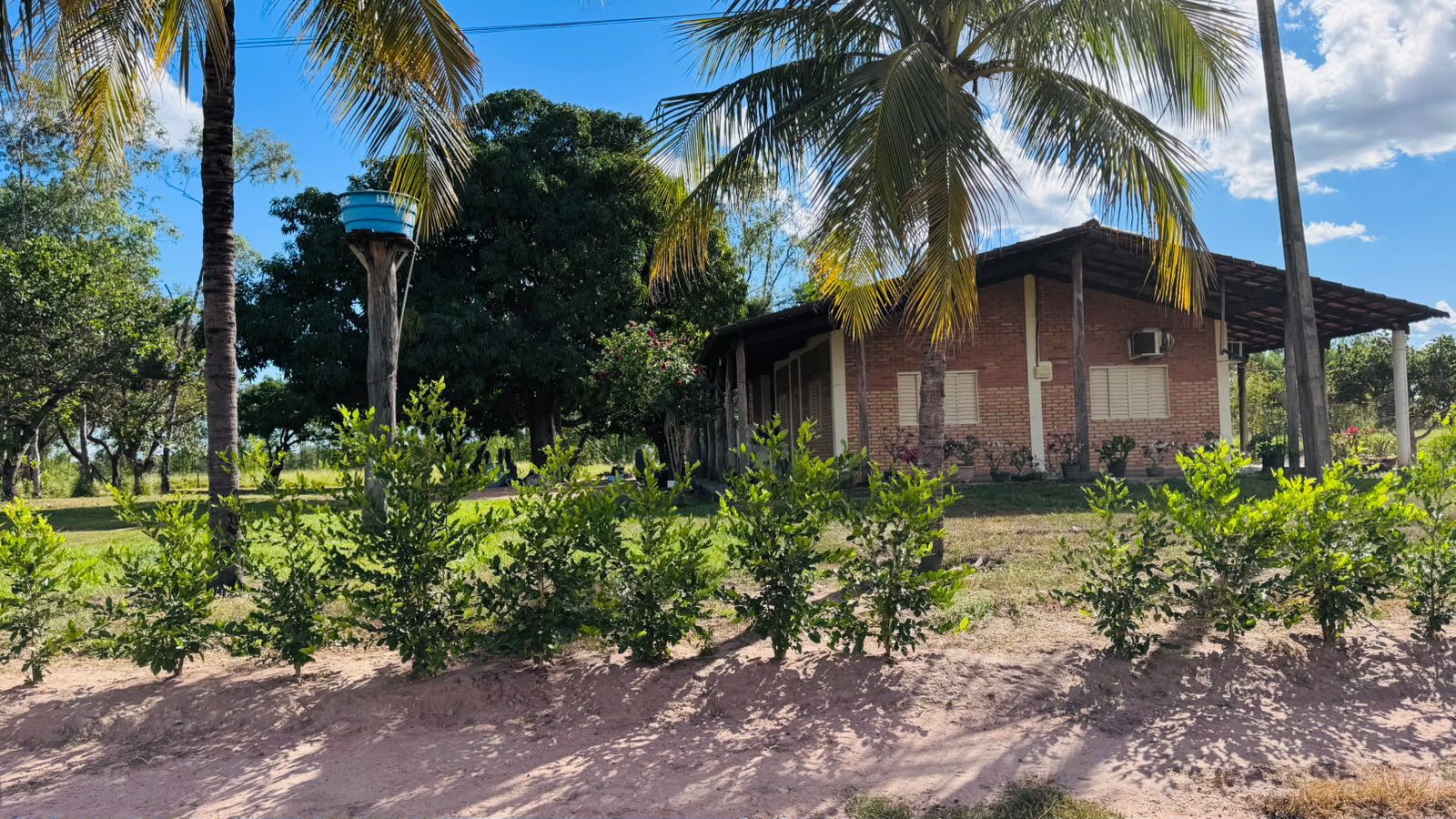 Fazenda à Venda em Aruanã, GO / Dupla Aptidão / Área Total / 13.765 hectares / Área em Pastagens 9.300 hectares / Área em Agricultura 900 hectares