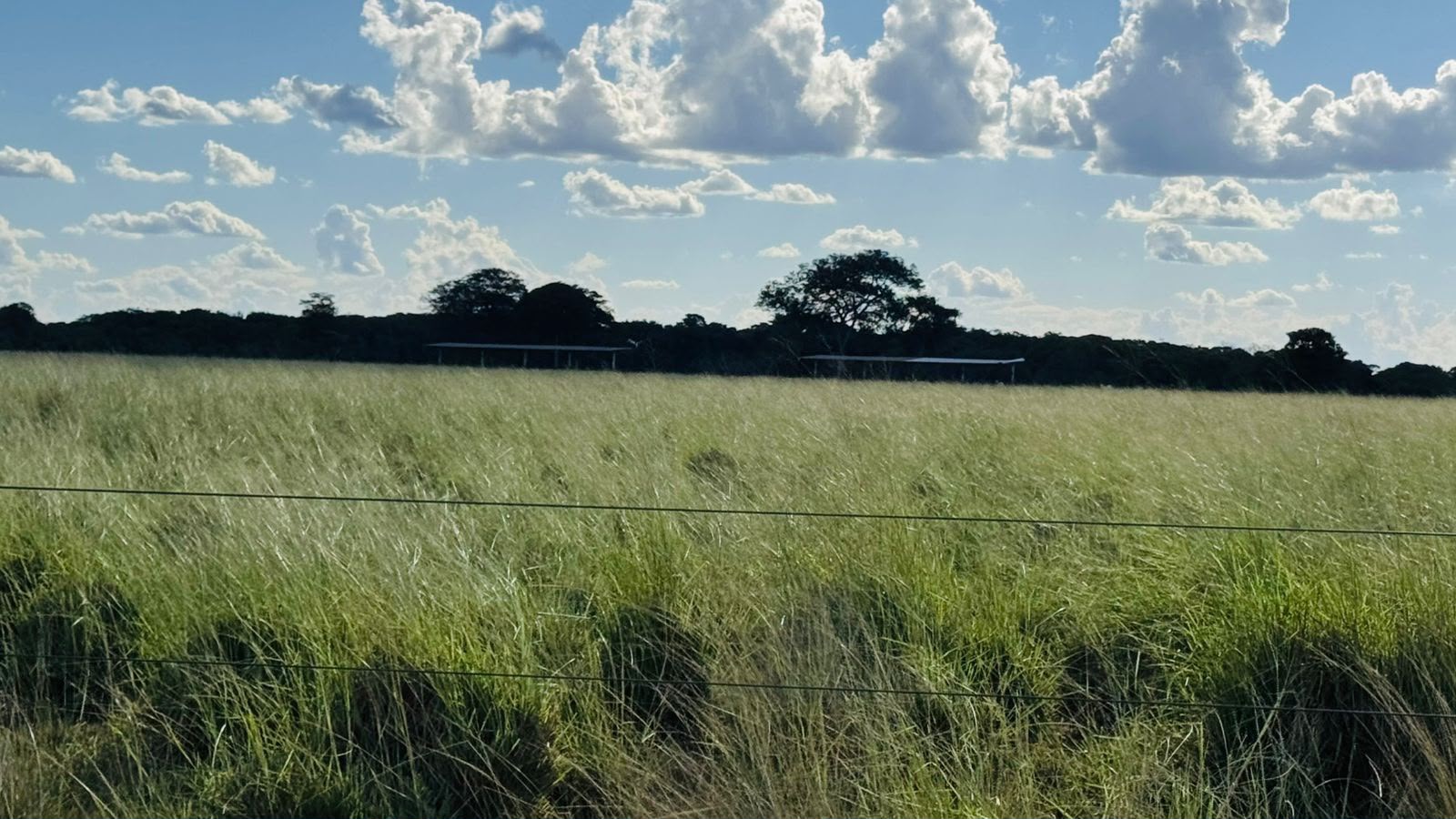 Fazenda à Venda em Aruanã, GO / Dupla Aptidão / Área Total / 13.765 hectares / Área em Pastagens 9.300 hectares / Área em Agricultura 900 hectares