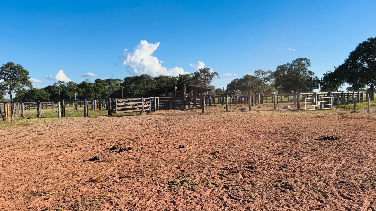Fazenda à Venda em Aruanã, GO / Dupla Aptidão / Área Total / 13.765 hectares / Área em Pastagens 9.300 hectares / Área em Agricultura 900 hectares