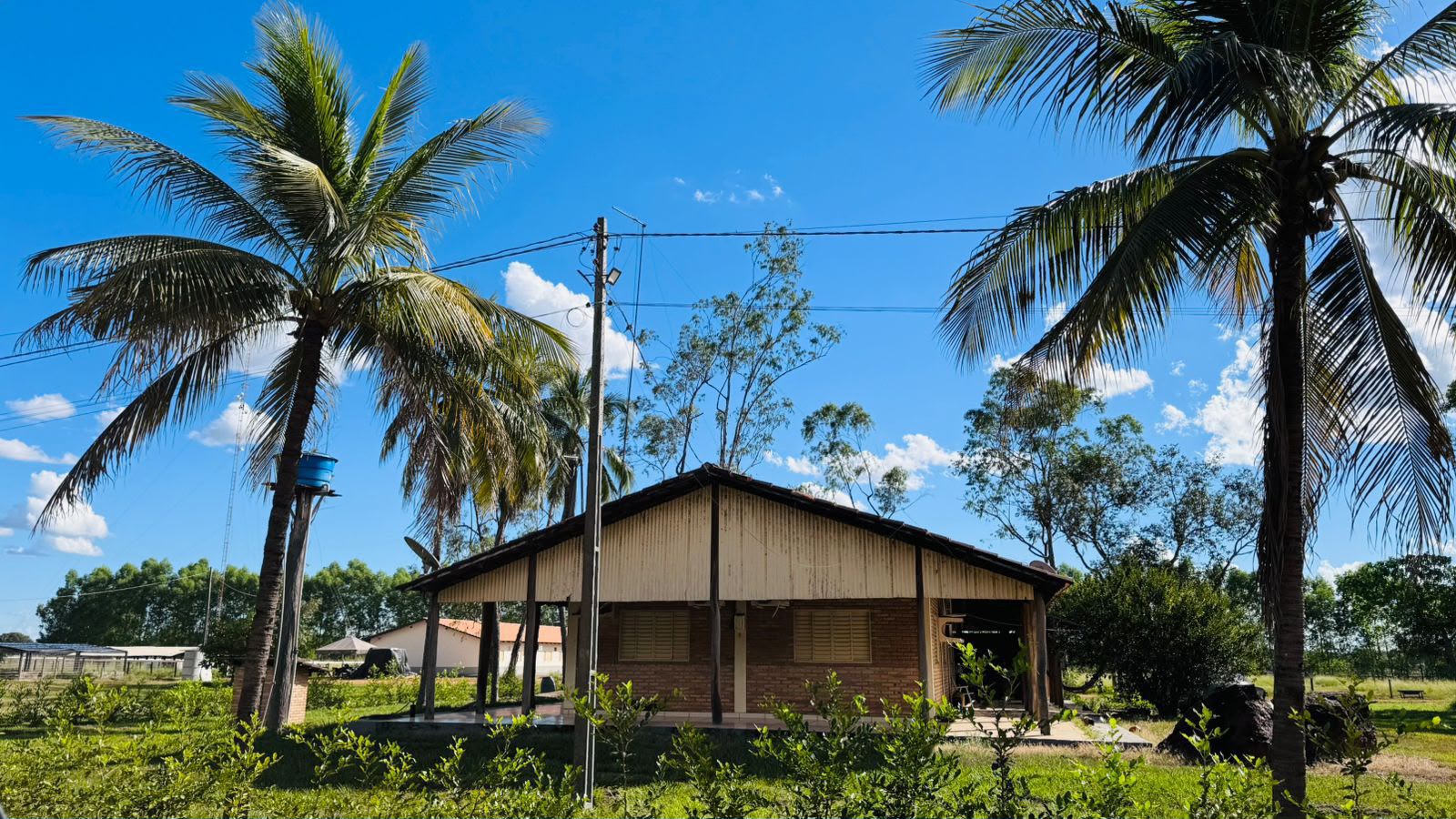 Fazenda à Venda em Aruanã, GO / Dupla Aptidão / Área Total / 13.765 hectares / Área em Pastagens 9.300 hectares / Área em Agricultura 900 hectares