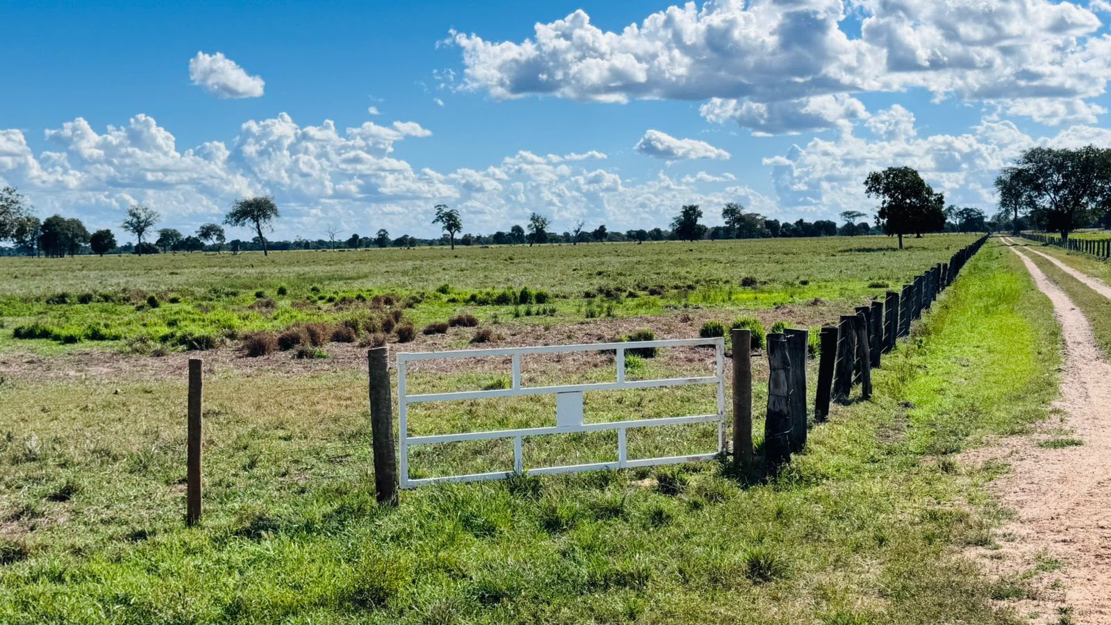 Fazenda à Venda em Aruanã, GO / Dupla Aptidão / Área Total / 13.765 hectares / Área em Pastagens 9.300 hectares / Área em Agricultura 900 hectares
