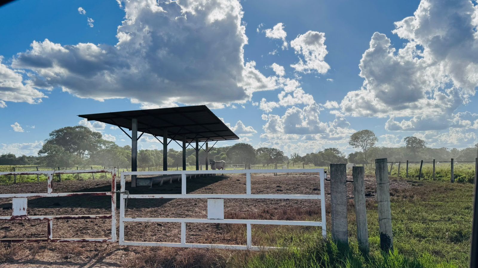 Fazenda à Venda em Aruanã, GO / Dupla Aptidão / Área Total / 13.765 hectares / Área em Pastagens 9.300 hectares / Área em Agricultura 900 hectares