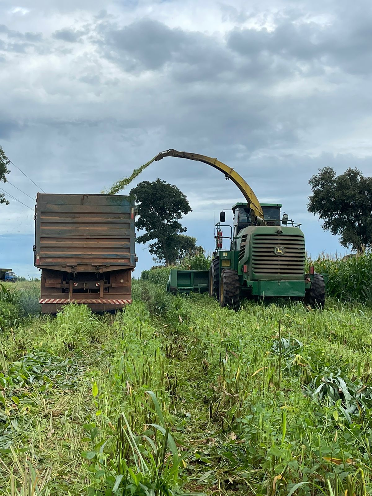 Fazenda à Venda na Região do Vale do Araguaia / 9.975 hectares de área total / 150 divisões de pasto / 1000 cabeças de gado de confinamento / Mozarlândia