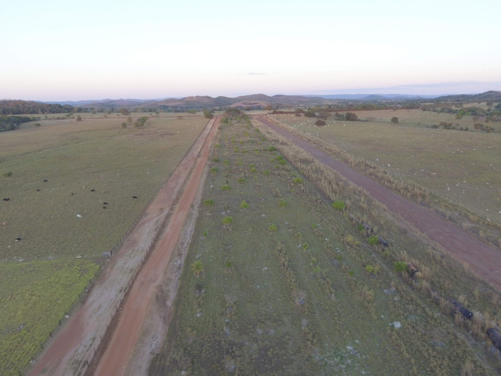 Fazenda à Venda na Região do Vale do Araguaia / 9.975 hectares de área total / 150 divisões de pasto / 1000 cabeças de gado de confinamento / Mozarlândia