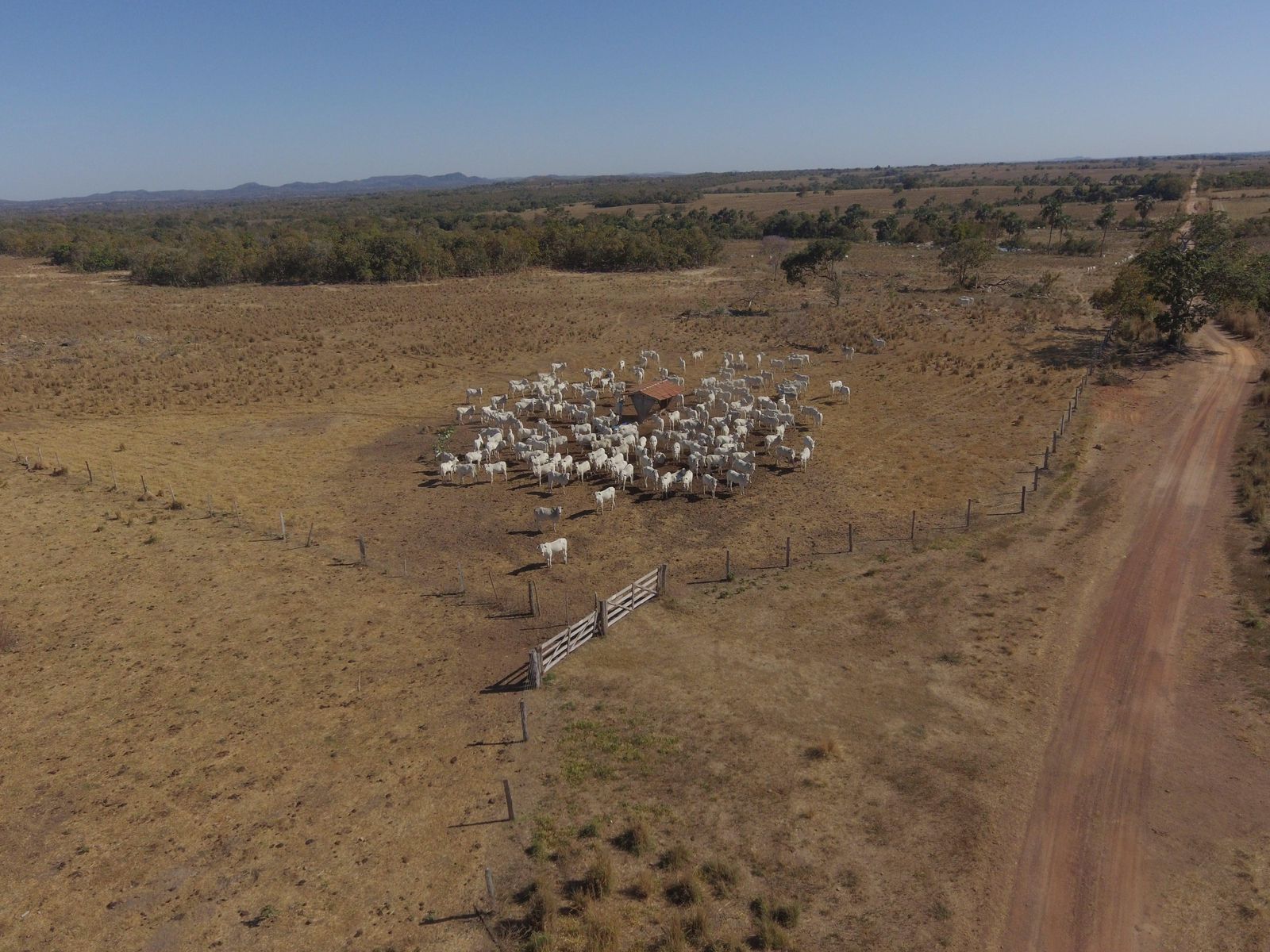 Fazenda à Venda em Serranópolis / 3038 hectares de área total / 1200 hectares de área em lavouras / benfeitorias completas / 2.429 hectares de área aberta