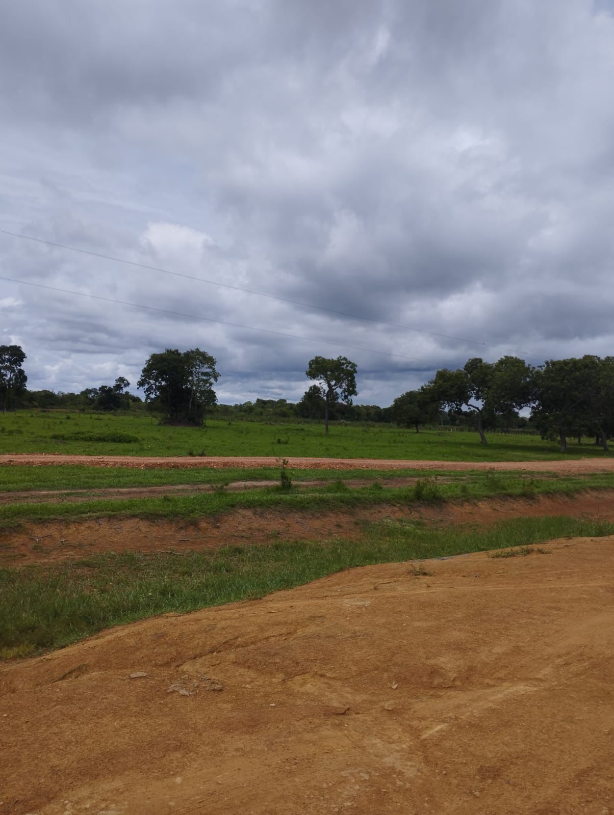 Fazenda à Venda em Nova Crixás, GO / 4080 hectares de área total / 2904 hectares de área aberta / 9 km do Rio Araguaia