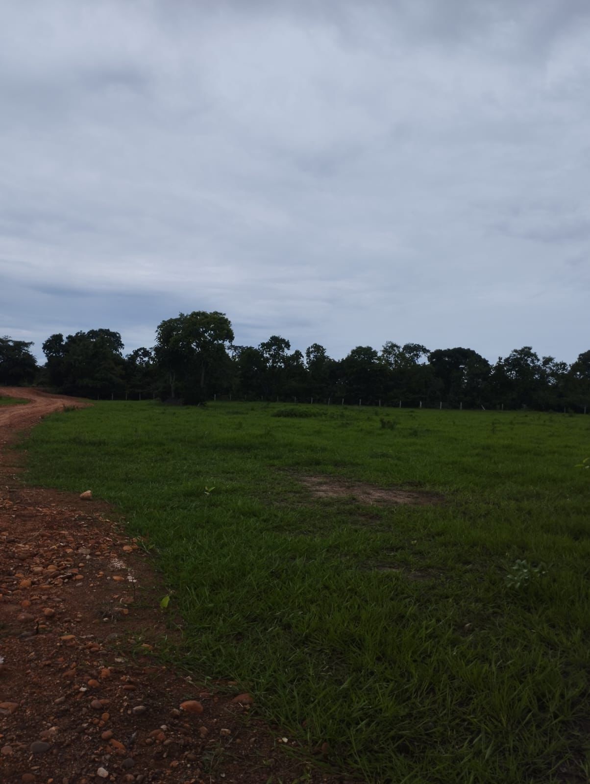 Fazenda à Venda em Nova Crixás, GO / 4080 hectares de área total / 2904 hectares de área aberta / 9 km do Rio Araguaia
