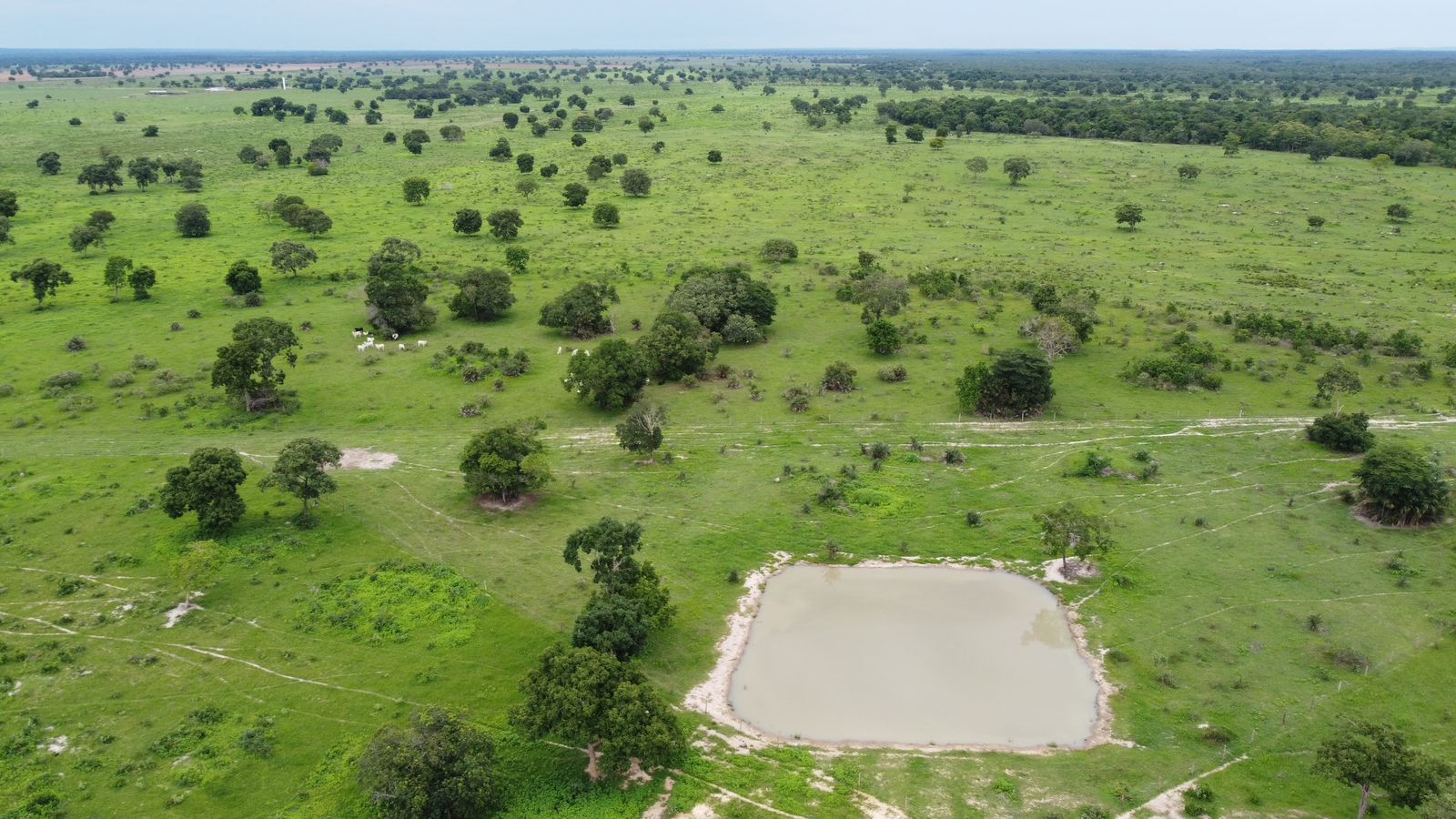 Fazenda à Venda em Araguaiana - MT / 4.158 hectares de área total / 2.900 hectares de área de pastagem / 23 divisões de pasto / curral com brete e balança / galpão de máquinas