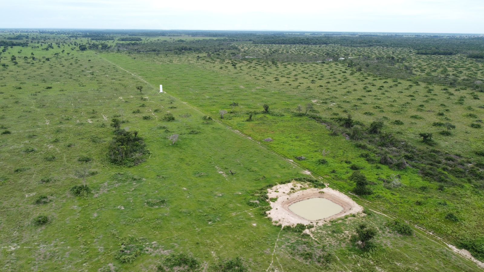 Fazenda à Venda em Araguaiana - MT / 4.158 hectares de área total / 2.900 hectares de área de pastagem / 23 divisões de pasto / curral com brete e balança / galpão de máquinas