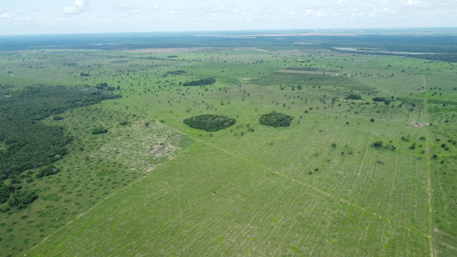 Fazenda à Venda em Araguaiana - MT / 4.158 hectares de área total / 2.900 hectares de área de pastagem / 23 divisões de pasto / curral com brete e balança / galpão de máquinas