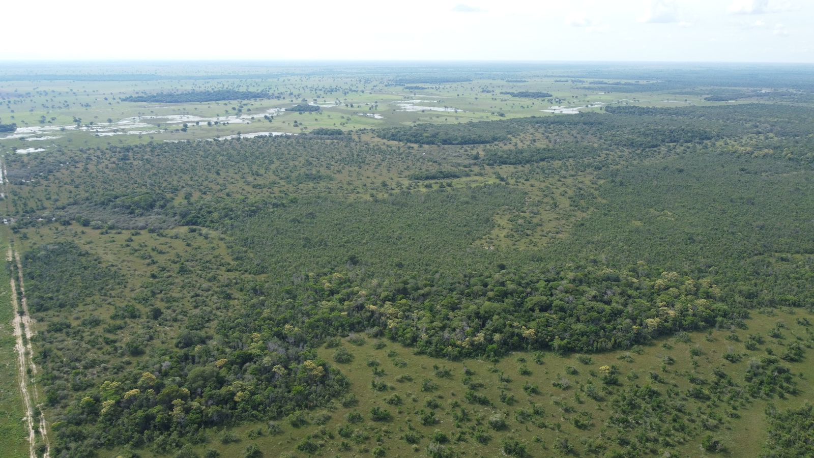 Fazenda à Venda em Araguaiana - MT / 4.158 hectares de área total / 2.900 hectares de área de pastagem / 23 divisões de pasto / curral com brete e balança / galpão de máquinas