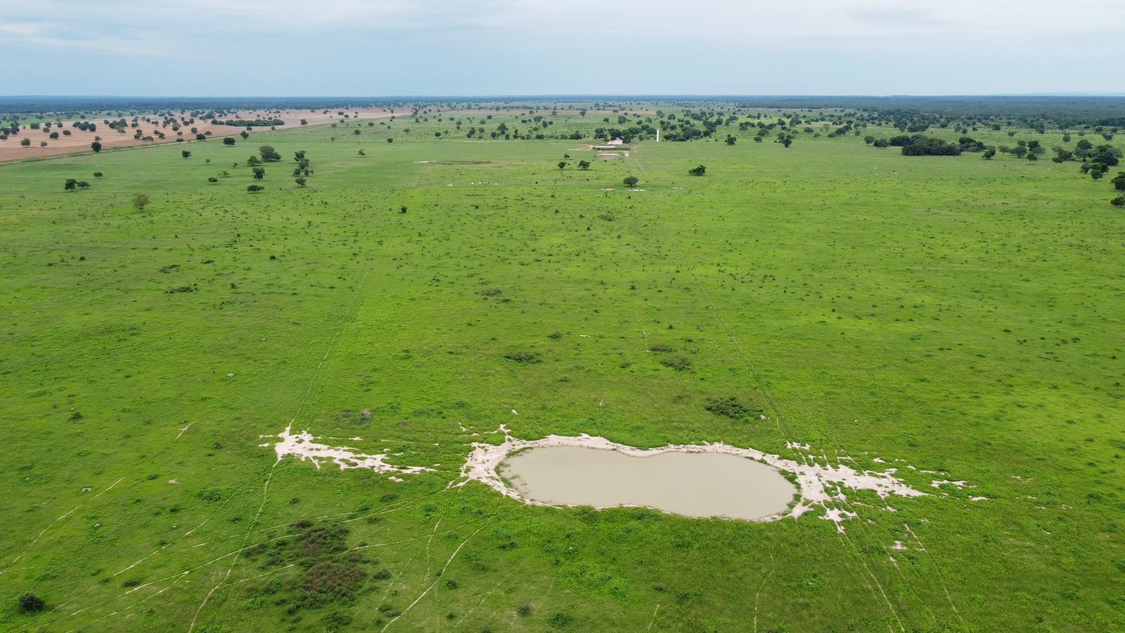 Fazenda à Venda em Araguaiana - MT / 4.158 hectares de área total / 2.900 hectares de área de pastagem / 23 divisões de pasto / curral com brete e balança / galpão de máquinas