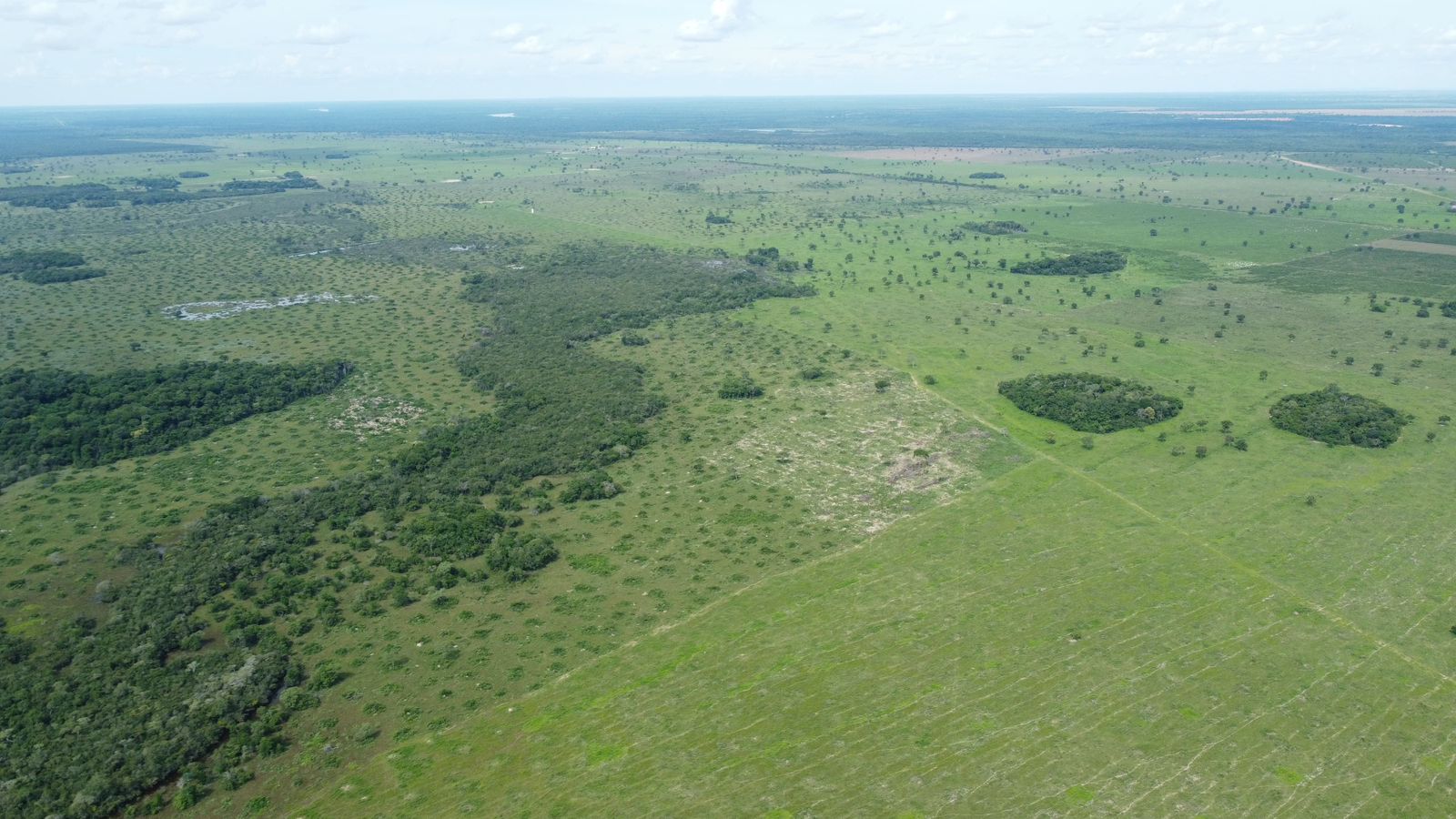 Fazenda à Venda em Araguaiana - MT / 4.158 hectares de área total / 2.900 hectares de área de pastagem / 23 divisões de pasto / curral com brete e balança / galpão de máquinas