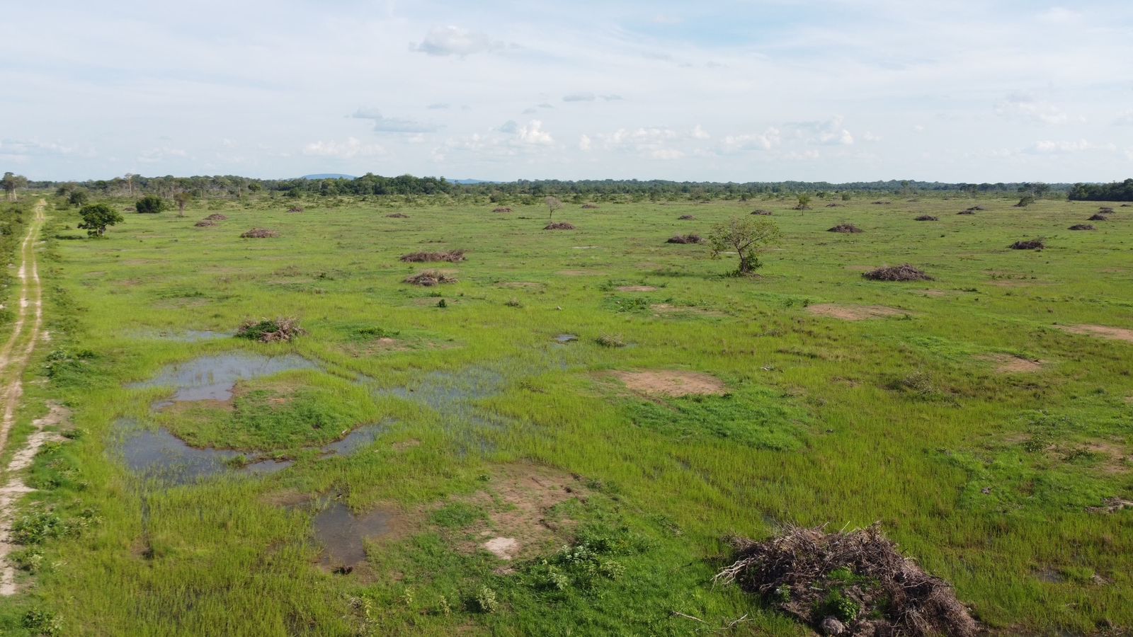 Fazenda à Venda em Araguaiana - MT / 4.158 hectares de área total / 2.900 hectares de área de pastagem / 23 divisões de pasto / curral com brete e balança / galpão de máquinas
