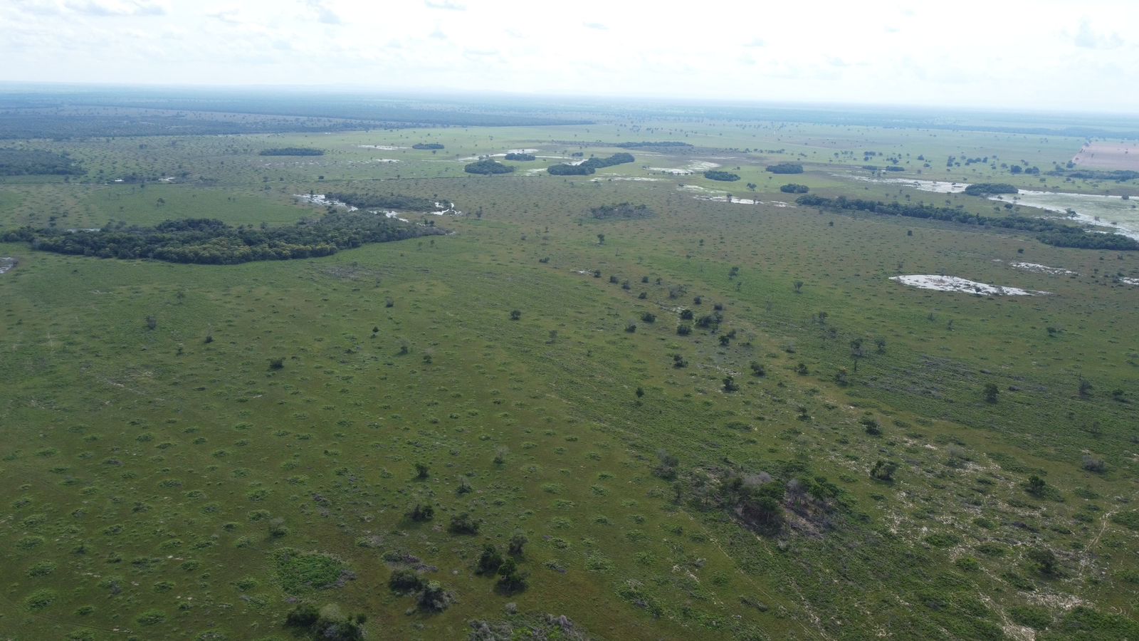Fazenda à Venda em Araguaiana - MT / 4.158 hectares de área total / 2.900 hectares de área de pastagem / 23 divisões de pasto / curral com brete e balança / galpão de máquinas