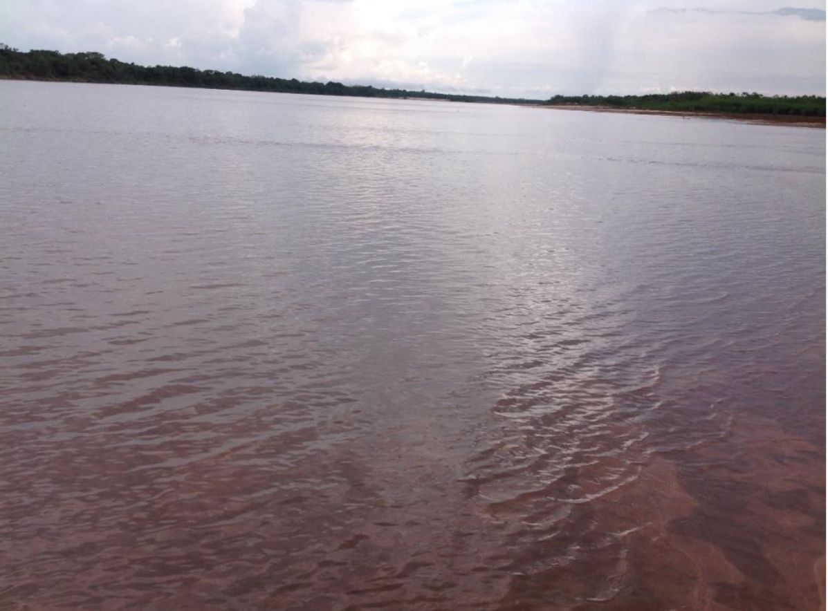 Fazenda à Venda em Cocalinho, MT / 14.360 hectares em área total / 4.200 em área de pastagem / 100 hectares de área em pastos nativos / 43 divisões de pasto / 20km do rio Araguaia