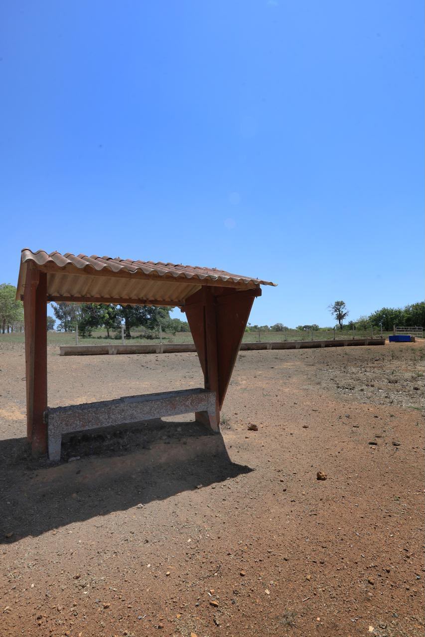 Fazenda de Alto Padrão / 18alq(GO) de Terra de cultura / São Miguel do Passa Quatro / 80km de Goiânia / 400 cabeças de gado / 850 metros de altitude / Fazenda plana / Benfeitorias Completas