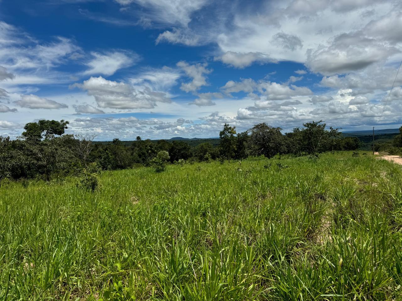 Fazenda em Tesouro, MT / 1936 hectares de área total / 1000 hectares de área em pastagem / Topografia plana e ondulada / 2 currais simples / 150km de Barra do Garças - MT