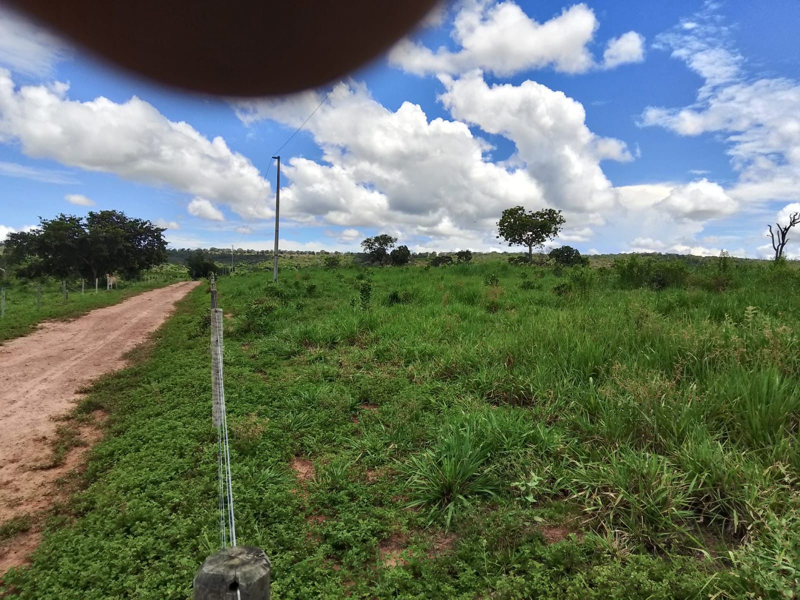 Fazenda em Tesouro, MT / 1936 hectares de área total / 1000 hectares de área em pastagem / Topografia plana e ondulada / 2 currais simples / 150km de Barra do Garças - MT